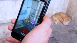 Игра Pokemon Go на экране мобильного телефона. Архивное фото